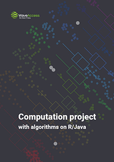 Beregningsprojekt med algoritmer på R/Java dække